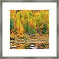 Lily Pond In The New Hampshire White Mountains Framed Print