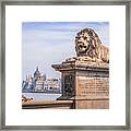Lion Of Budapest Framed Print