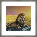 Lion On The Serengeti Framed Print