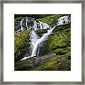 Little Bird Falls Framed Print