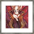 Little Dogs- Chihuahua Framed Print