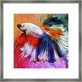 Lockdown Betta #64 Framed Print