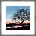 Lone Tree At Sunset Framed Print