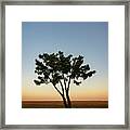 Lone Tree At Twilight Color Framed Print