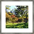 Looking Down At The Pond Framed Print