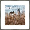 Looking Through The Grasses Framed Print