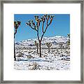 Lost Horse Valley In Snow Framed Print