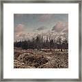 Lost In The Forest Framed Print