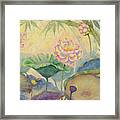 Lotus. First Touch Of Sunlight Framed Print