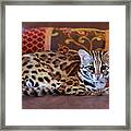 Lounging Leopard Framed Print