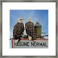 Love Birds Framed Print