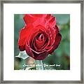 Love Each Other Red Rose Bloom Framed Print