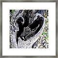 Love In Nature Framed Print