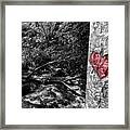 Love The Forest Framed Print