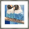 Lovebirds Framed Print