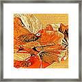 Lovely Leaves - Autumn Color Framed Print