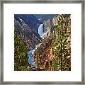 Lower Falls - Grand Canyon Of The Yellowstone Framed Print