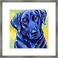 Loyal Companion - Colorful Black Labrador Retriever Dog Framed Print