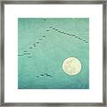 Lunar Migration Framed Print