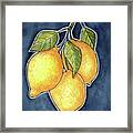 Luscious Lemons Framed Print