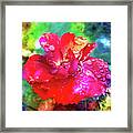 Lux Flora Ii Framed Print