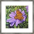 Lydia's Painted Lady Framed Print