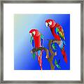 Macaws In The Tree Framed Print