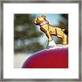 Mack Bulldog Gold Profile Framed Print