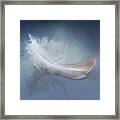 Magical Feather Framed Print