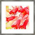 Magical Summer Bells Framed Print