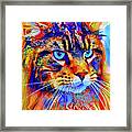 Maine Coon Cat Watching Something - Colorful Digital Art Framed Print