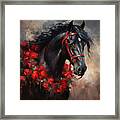 Majestic Horse With Roses Framed Print