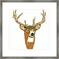 Deer - Front View Acrylic Print by Michael Vigliotti - Fine Art
