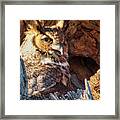 Mama Owl Framed Print
