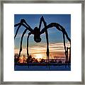 Maman The Spider, Ottawa Framed Print