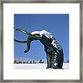 Snow Capped Woolly - Mammoth Mountain Ski Area, Mammoth Lakes, California Framed Print