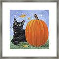 Mango - Black Cat And Pumpkin Framed Print
