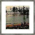 Mangrove Landscape Framed Print