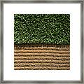 Manicured Sports Field Between Turf And Dirt Framed Print