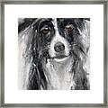 Paintings Of Dogs. Mans Best Friend Framed Print