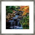 Maple Falls Ii Framed Print