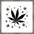 Marijuana In Black And White Framed Print