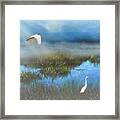 Marsh Mist Cumberland Island, Georgia Framed Print