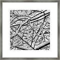 Maryland Country Roads - Gnarly And Cool Tree Branches During A Heavy Snow Framed Print