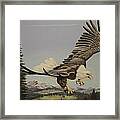 Masters Of The Sky Framed Print