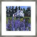 Matinicus House With Lupine Framed Print