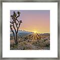 May 2021 Joshua Tree Sunset Framed Print
