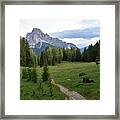 Meadow In The Dolomites Framed Print
