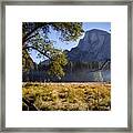 Meadow View Framed Print