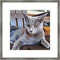 Mean Mugging Framed Print